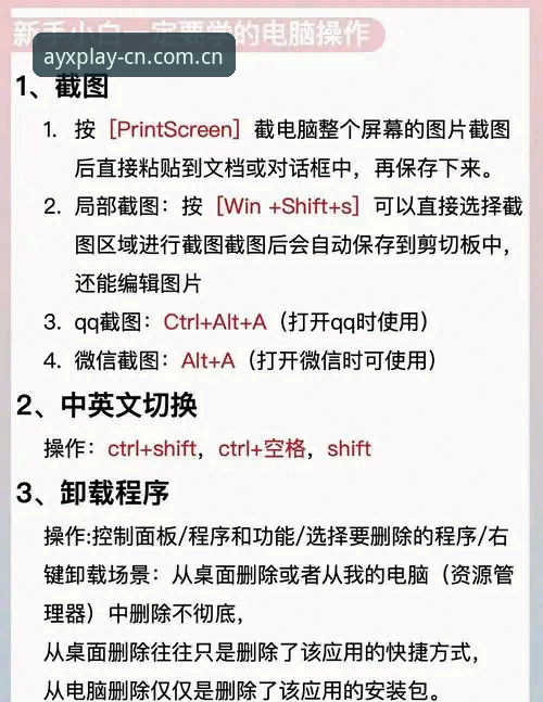 AYX中文站电脑端登录 AYX中文站电脑端登录完整使用指南:老玩家从不外传的六个实用技巧